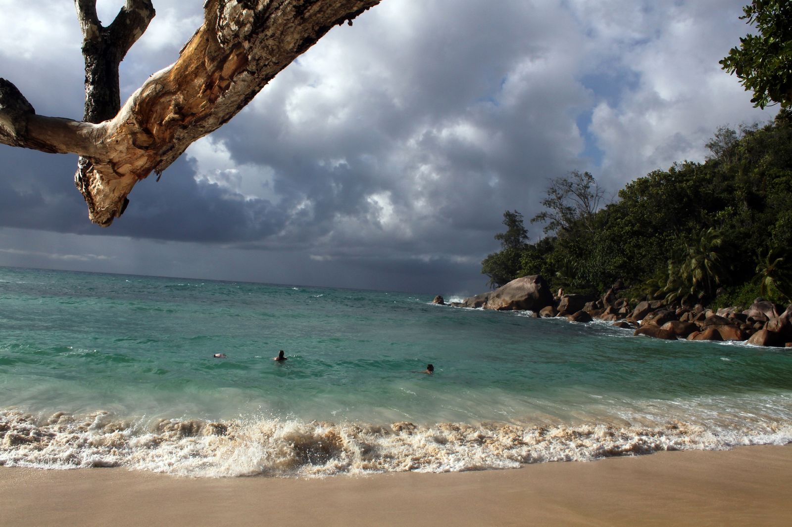 Seychelles swimming