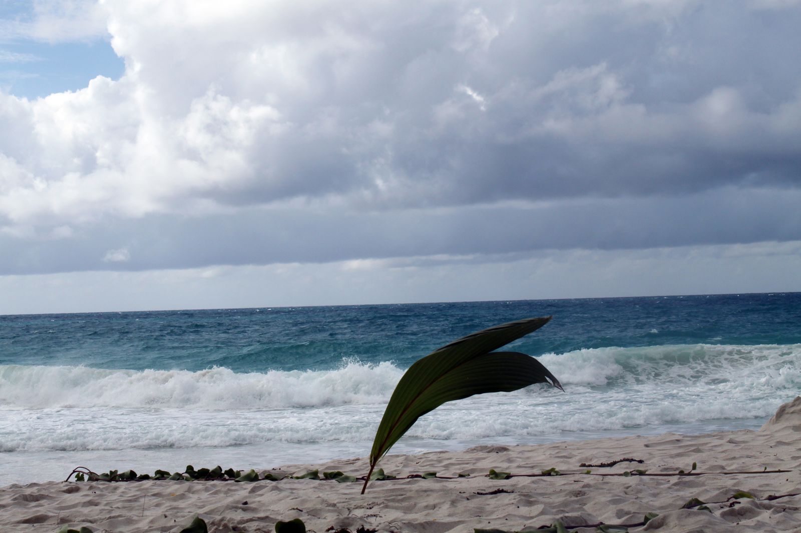 Seychelles ocean1