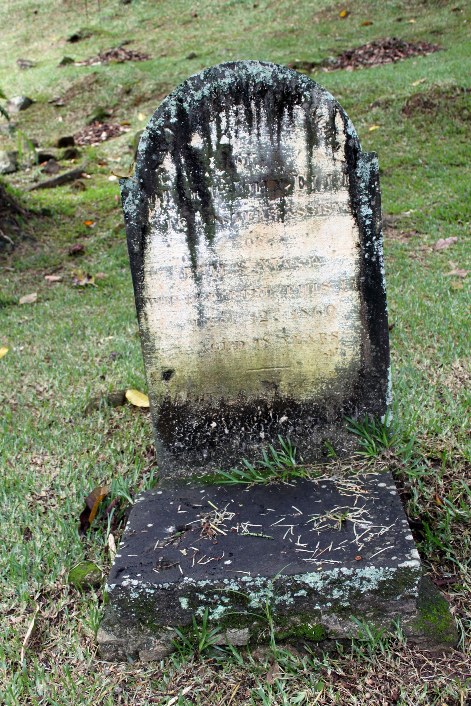 Seychelles cemetry